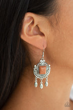 Load image into Gallery viewer, Open Pastures - Brown